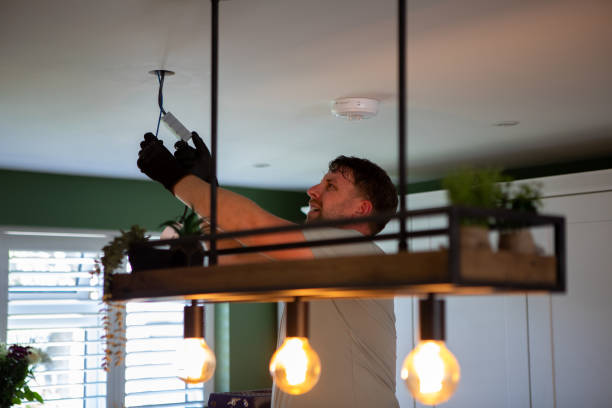 Best Electric Panel Repair  in Cedar Bluff, VA